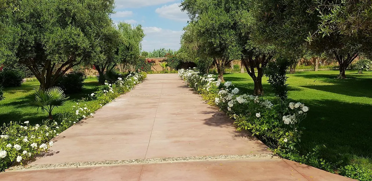 Villa Koutoubia, Jardin Luxuriant, Piscine Et Spa 마라케시